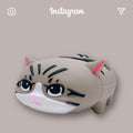 Cute Walking Kitten AirPods Case Shock Proof Cover